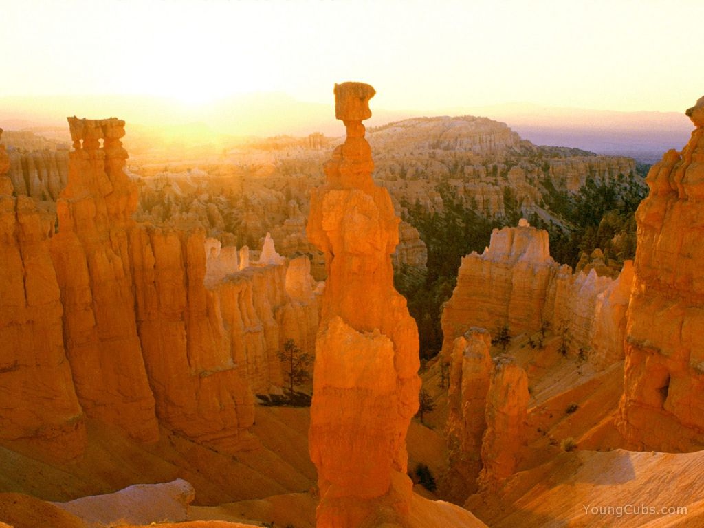 Sunrise Colors Thor's Hammer, Bryce Canyon, Utah